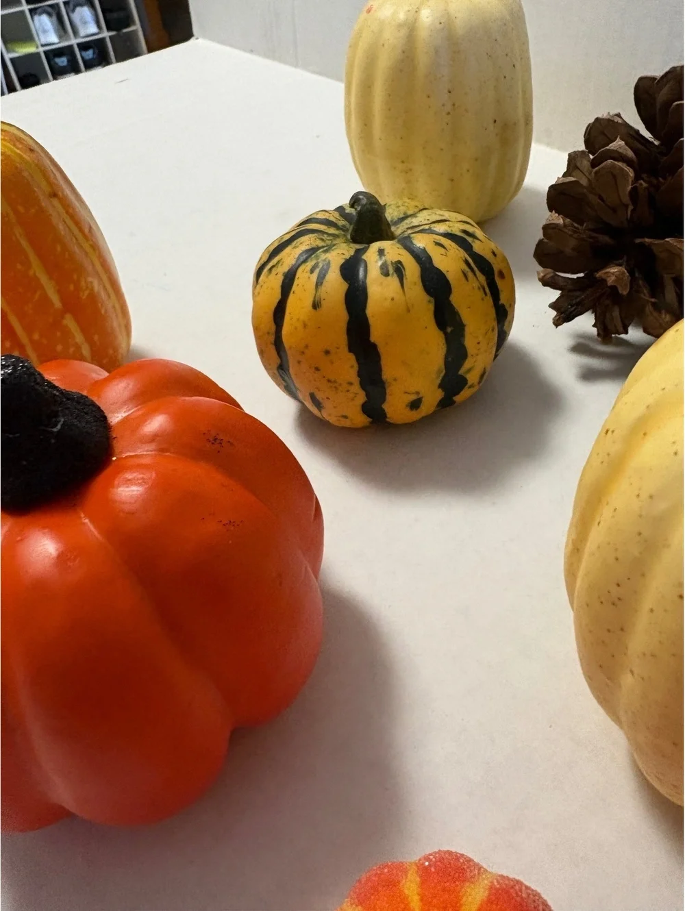 Variety of fall decor